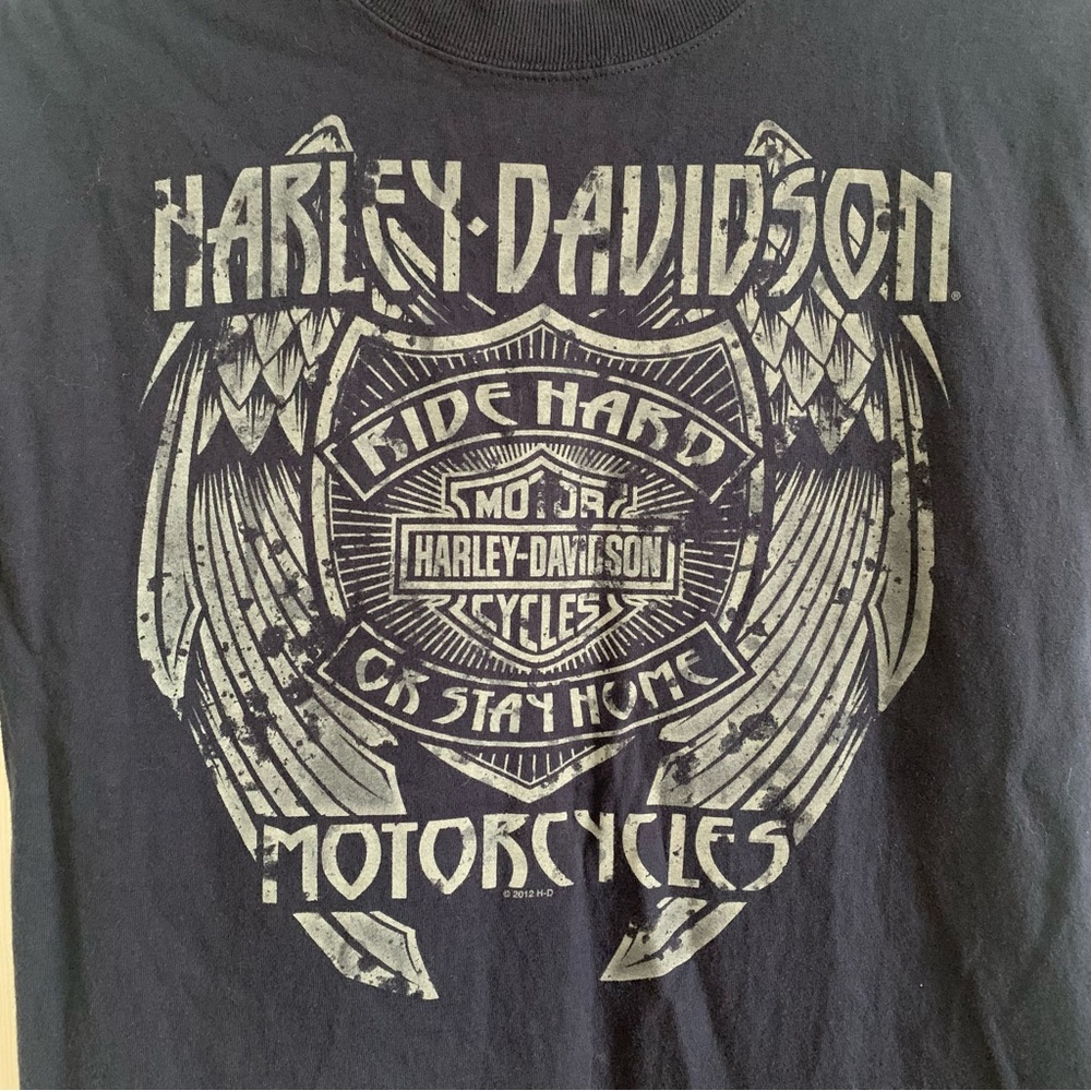 Harley Davidson Red Rock Graphic Print T-Shirt - Picture 8 of 8